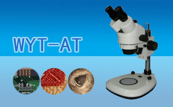 體視顯微鏡能觀察到的細胞有哪些?